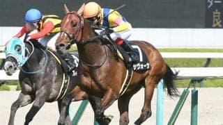 【七夕賞出走馬・騎手確定】サヴォーナ＆池添謙一騎手、カラマティアノス＆岩田康誠騎手など16頭