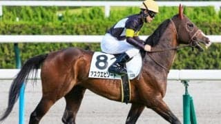 【西部スポニチ賞】半姉は名牝ストレイトガール アスクエピソードが約3年ぶりの勝利なるか