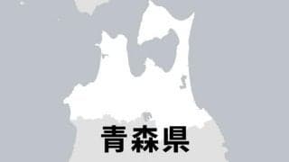 優勝候補に大敗も、青森で唯一の安打　培った忍耐力で国立大めざす