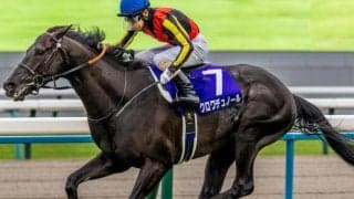先輩クロワに続け！ キタサン×斉藤崇史厩舎のエルドボルグが初陣だ