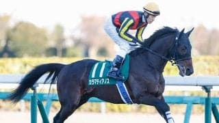 【七夕賞枠順確定】カラマティアノスは2枠4番、サヴォーナは8枠16番