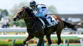 【函館2歳S想定馬・騎手】シグレ、ダマスクなど13頭