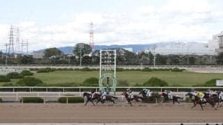 【園田・兵庫サマークイーン賞結果】ケテンドリームが接戦制し重賞初制覇