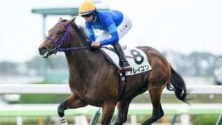 【函館5R新馬戦結果】ブルーポイント産駒フレイコンが8馬身差で圧勝
