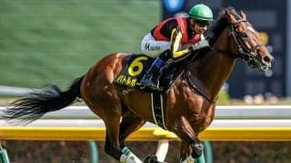 【七夕賞予想】起伏の激しいコースで先行勢は苦戦傾向！ 重賞では信用しきれない軽視したい人気の一角とは