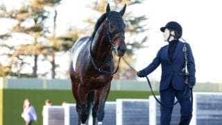 【七夕賞前日オッズ】カラマティアノスが4.7倍で1番人気