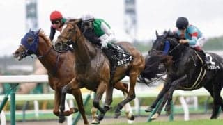 【五稜郭S】カテリーナがオープン入り…武豊騎手の5000勝はあと一歩で持ち越し