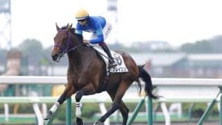 【新馬/函館5R】フレイコンが8馬身差圧勝！1番人気が能力の違いを見せつける