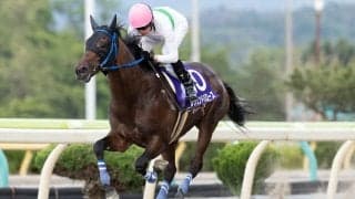【盛岡・やまびこ賞】レジェンドバローズが重賞連勝へ、ベアコルムとの頂上決戦に注目