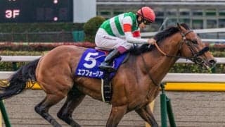 今週もエフフォーリア産駒に注目！ 重賞ウイナーの半弟イッペイが初陣
