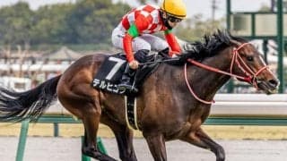 「GLAY」のTERUが名付け親 テルヒコウが武豊騎手と初タッグだ
