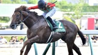 七夕賞はハンデ戦らしく波乱傾向 キングマンボ系に注目だ