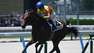 【小倉6R新馬戦結果】ビッグアーサー産駒マルモリムソウが押し切り勝ち