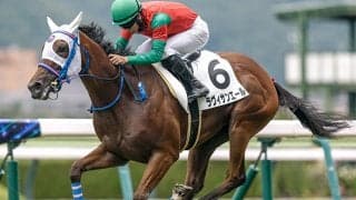 【福島4R新馬戦結果】ベンバトル産駒ラヴィサンエールが快勝