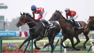 武豊騎乗のテルヒコウは惜しくも2着…GLAY・TERU命名馬が見せ場十分の逃走