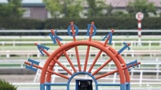 【函館8R】シャローファーストが鮮やかレコードV！函館ダ2400mの記録を2.1秒更新
