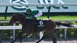 【阿蘇S結果】レイナデアルシーラが逃げ切りオープン初勝利