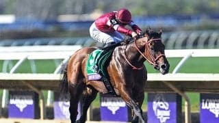 累計購入額は100億円を突破 藤田晋オーナーのセレクトセール5年を振り返り