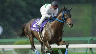 【盛岡・やまびこ賞結果】レジェンドバローズが断然人気に応え9馬身差圧勝
