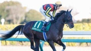 【七夕賞・馬体重】カラマティアノスは472kg(-2)、バトルボーンは506kg(±0)