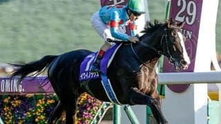 注目のイクイノックス産駒 今年のセレクトセール上場馬は