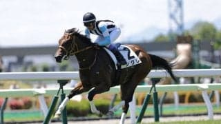 【函館2歳S登録馬】新馬圧勝のシグレなど15頭