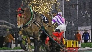 【ばんえい・旭川記念】6番人気タカラキングダムが豪快差し切り！重賞9勝目をマーク