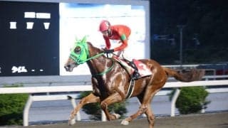 【高知・魚梁瀬杉特別】ザガラが2馬身差V…永森大智「まだまだ強くなると思います」