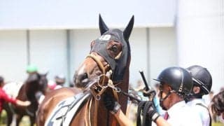 【函館2歳S想定騎手】シグレは武豊騎手、ロンドンガーズは北村友一騎手