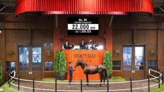 【セレクトセール2026】コントレイル産駒の良血に2億2000万円…母は京成杯AHレコードV馬