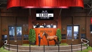 【セレクトセール2026】皐月賞馬ソールオリエンスの全弟に3億3000万円…キタサンブラック産駒の良血