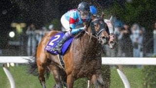 【先週のJRA抹消馬】今年の兵庫女王盃2着馬プロミストジーン、ダート短距離で4勝のアンシールなど