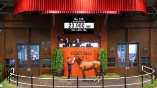 【セレクトセール2026】仏G1馬のキタサンブラック産駒に2億3000万円