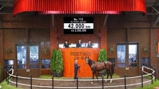 【セレクトセール2026】出た！4億2000万円…豪G1馬のイクイノックス産駒に超高額評価