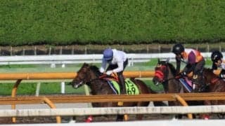 仏オークス2着馬の娘ユーダブルワン 小倉芝1800mで初陣/関西馬メイクデビュー情報