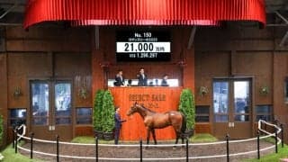 【セレクトセール2026】亜オークス馬の初仔に2億1000万円…キタサンブラック産駒