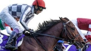 注目のドウデュース産駒 今年のセレクトセール上場馬は