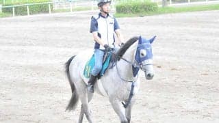 ダイナカールの一族 ヴェルバーニア初陣は戸崎騎手で日曜福島/関東馬メイクデビュー情報