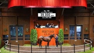 【セレクトセール2026】エフフォーリア産駒が3億9000万円！金子真人HDが落札