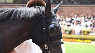【函館2歳S】シーザリオ一族初の牝馬の重賞制覇なるか イモージェンに要注目だ
