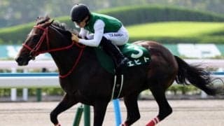 【小倉記念】レース史上最高齢Vなるか 9歳エヒトが3年ぶりの戴冠狙う