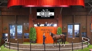 【セレクトセール2026】1歳セッションは売上176億6000万円で歴代最高額 「ヤングスターの2025」が4億2000万円で落札
