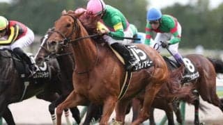 【小倉記念展望】タガノアビーが好データを味方に重賞初制覇を狙う