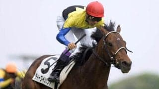 金子真人オーナーがセレクトセールで落札した名馬たち