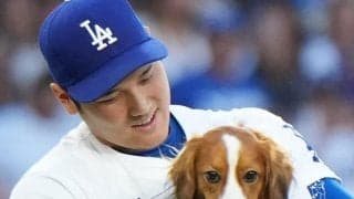 大谷翔平が東京開幕戦で履いたデコピンスパイクが競売に「最も重要な品の１つ」とCEO
