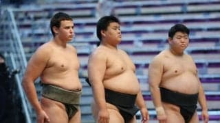 前相撲に個性派が続々…実力者の城勝雄、英国出身の栄誠、ラグビー元U20代表の原口ら