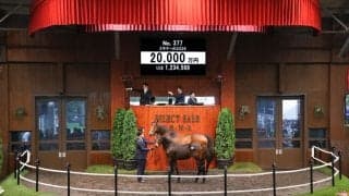 【セレクトセール2026】母は仏短距離重賞馬…キズナ産駒をベラジオレーシングが2億円で落札