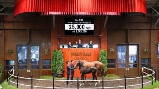 【セレクトセール2026】藤田晋氏がイクイノックス産駒を2億5000万円で落札…半兄は米G1馬