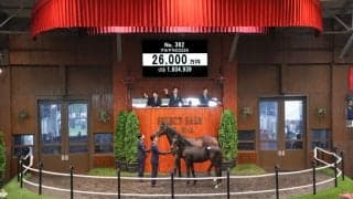 【セレクトセール2026】仏重賞馬の初仔に2億6000万円…国本哲秀氏がサートゥルナーリア産駒を落札