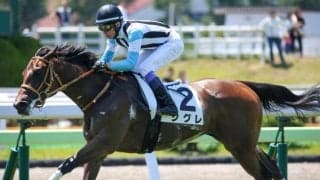 【函館2歳S】武豊騎手が29年ぶり2勝目へ 圧巻デビューVのシグレで挑む
